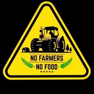 linz1887's profile picture. English 🇬🇧