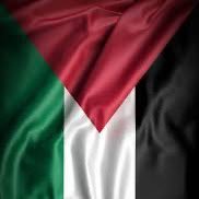 Palestine48Y Profile Picture