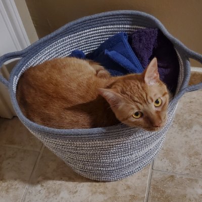 buzzh_h's profile picture. Just a rager