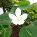 Jithin Ajay Dev (@jithinajay95198) Twitter profile photo Jithin Ajay Dev (@jithinajay95198) Twitter profile photo