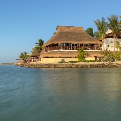 ruledessavre's profile picture. 👎🏻