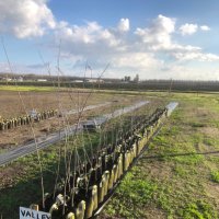 FireAg Nursery (@fireagnursery) 's Twitter Profile