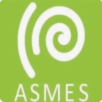 ASMES(@ASMES2016) 's Twitter Profile Photo