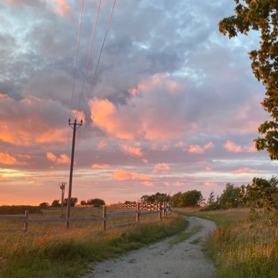 LucieRenar75113's profile picture. 