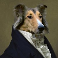 Crypto Aristocrat(@cryp_aristocrat) 's Twitter Profile Photo