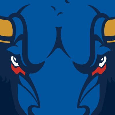 sfstampede Profile Picture