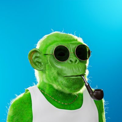 CryptoBlackie Profile Picture