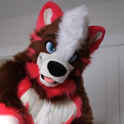 GlucoseHusky Profile Picture