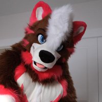 Glucose The Bear(@GlucoseHusky) 's Twitter Profile Photo