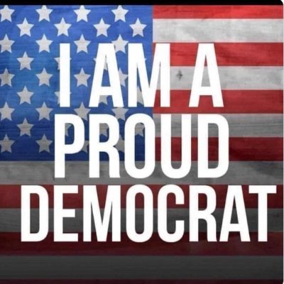 #VOTEBLUEIN2024! #ProudDEM!💙💙💙 Steeler,Penguin,Pirate& Penn State Fan! #VOTERICKSCOTTOUTINNOVEMBER!! #VOTEALLREPUBSOUTINNOV!!!NO DM's!