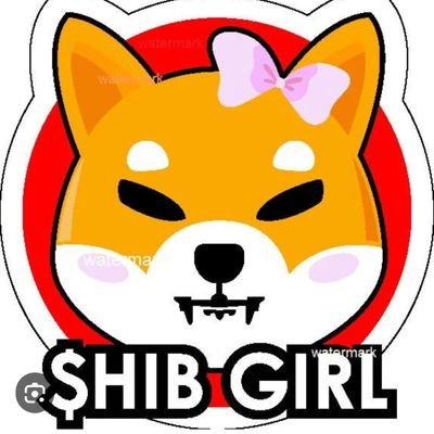 #ShibArmy #ShibaInu #AllIn #GoShibbyGo #shibtrain