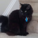 Isabelle Robinson-Soto - @IsabelleRo93919 - Twitter