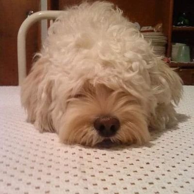 jjuan_correa's profile picture. 