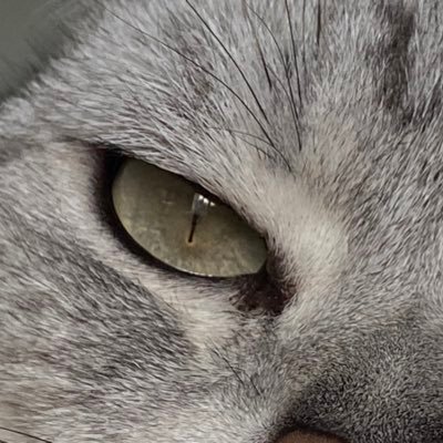 ru_bai51619's profile picture. Materialist Dialectics