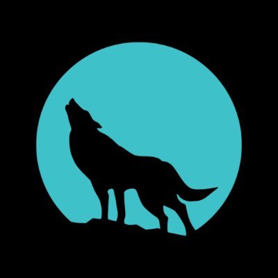 BiteClub is a unique collection of 2222 wolves receiving rewards from Solana's best gaming platform.

https://t.co/s9opeAqXsq