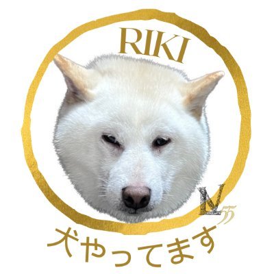 rikinoshop Profile Picture