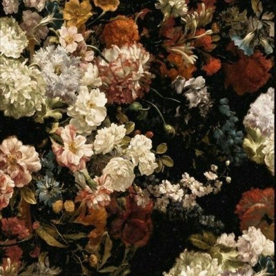 monksmagee's profile picture. 