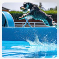 Nirvana Chauffe Piscine (@nirvanaheatpump) 's Twitter Profile Photo Nirvana Chauffe Piscine (@nirvanaheatpump) 's Twitter Profile Photo