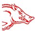 Paul Sparks (@hogsfan445) Twitter profile photo Paul Sparks (@hogsfan445) Twitter profile photo