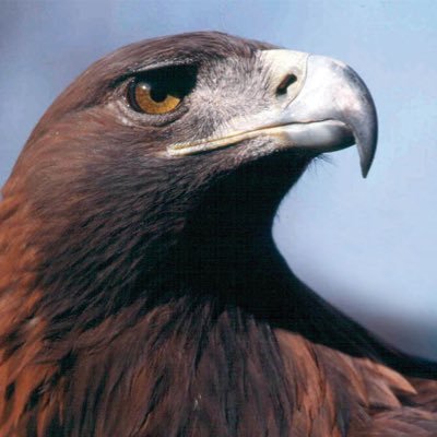 User62032022's profile picture. 