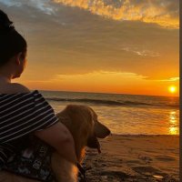 Yessy (@chinis29) 's Twitter Profile