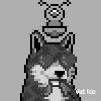 Vet Ice (@iiceve_t) 's Twitter Profile