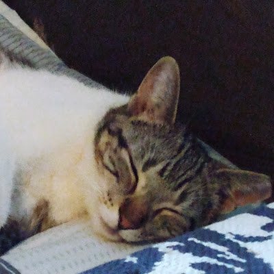 sharmala2018's profile picture. 