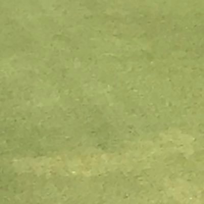 cuervooo15's profile picture. .