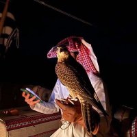 بدر العنزي🇸🇦 (@gxw52) 's Twitter Profile