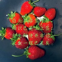 Daning (@daning82822529) 's Twitter Profile