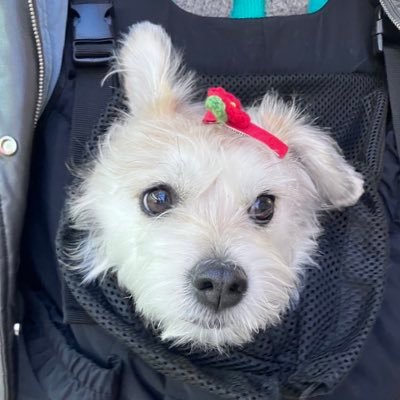 annapurnafilm's profile picture. 영화제작소