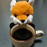 狐@MTGアカウント (@konkonsama_mtg) 's Twitter Profile Photo