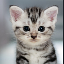 David Cliffe - @davidjcliffe - Twitter