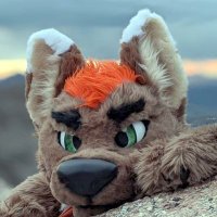 Arrow 🔜 LVFC, FWA (@arrowt) 's Twitter Profile Photo Arrow 🔜 LVFC, FWA (@arrowt) 's Twitter Profile Photo