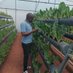 Agronomist onesmus (@agronomistf1) Twitter profile photo Agronomist onesmus (@agronomistf1) Twitter profile photo