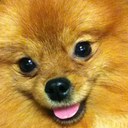 jenasen T - @t0al1ang - Twitter