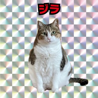 jira1010's profile picture. スロ垢です🎰パチスロ歴は7年目ですが目押しが一向に上達しません…。いろんな人の収録や来店に遊びに行くのが趣味です🥰飲むこと食べることも大好きで、よくビール飲んで🍺よくラーメン食べます🍜