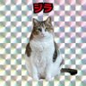 jira1010's profile picture. スロ垢です🎰パチスロ歴は7年目ですが目押しが一向に上達しません…。いろんな人の収録や来店に遊びに行くのが趣味です🥰飲むこと食べることも大好きで、よくビール飲んで🍺よくラーメン食べます🍜