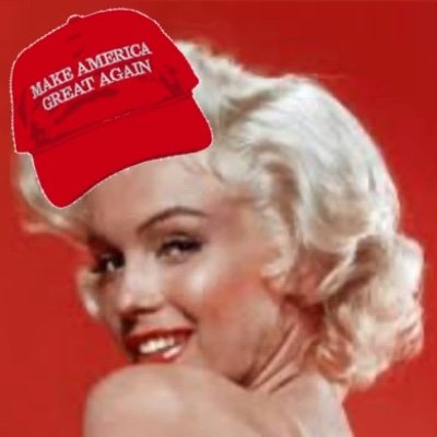 trumps_kitten Profile Picture