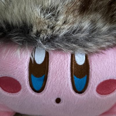 ヒマラヤロードレース制す