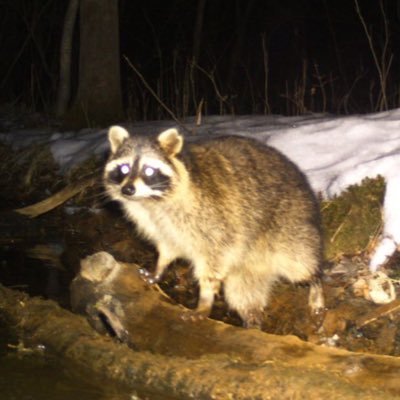 ssumsecret's profile picture.