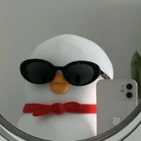 もる (@lx6_qi) 's Twitter Profile