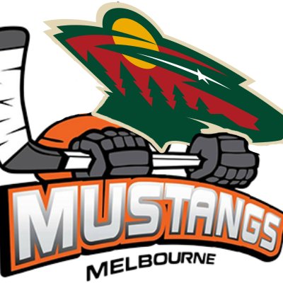 Names Sam, Australian, die hard @mnwild/@mustangs_hockey fan