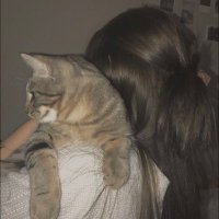 H🇸🇦 (@hxxllx) 's Twitter Profile