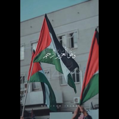 sondos_992's profile picture. ما بين سوداوية شوبنهاور وعدمية سيوران