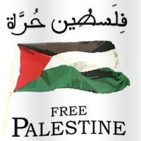 karem (@mkarem2004) 's Twitter Profile Photo