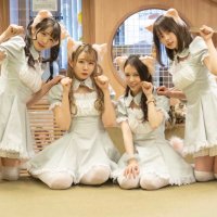 僕と猫。 秋葉原店 スタッフ (@staff_bokuneko) 's Twitter Profile Photo