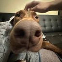 Leo Cottrell - @CottrellLeo - Twitter