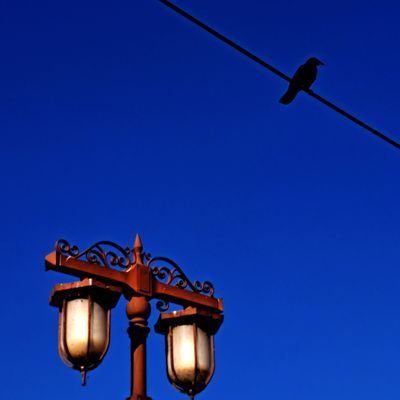 【写真】興味のあるもの全てが被写体【Love】Guitar🎸ものづくり🔨酒🥃🍸🍷城🏯神社巡り⛩️野球⚾【好きな言葉】丸くなるな星になれ🍺⭐ℹ️フォローお気軽にどうぞ🐤🎶無言フォロー👌🏻´-無言フォロー失礼します🫡