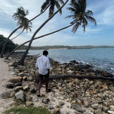 MevSolanga's profile picture. 